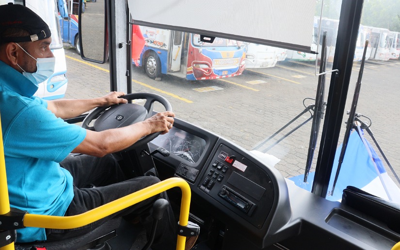 BUSES